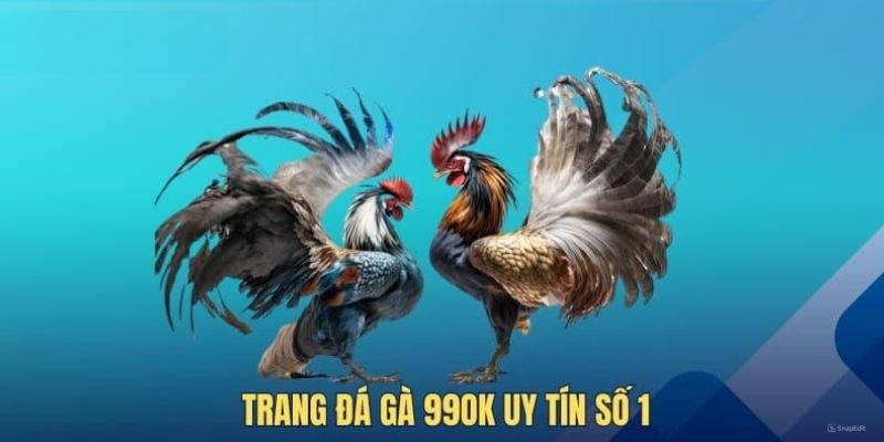 Uy tín số 1 về đá gà 99ok