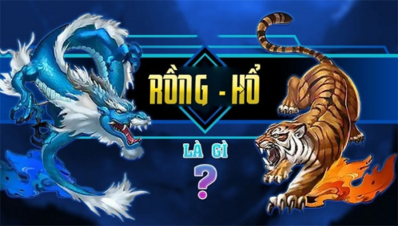 Rồng hổ là gì